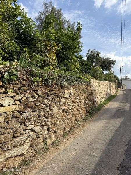 Casa c/Terreno com 2915 m2 - Grande imagem: 4/9