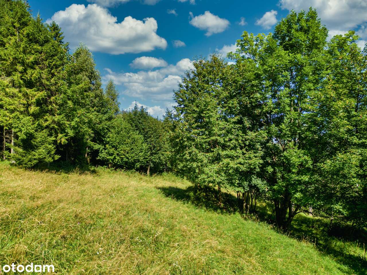 Piękna działka wśród zieleni, idealna na rekreacje, cisza i spokój - Pełny obrazek: 5/8