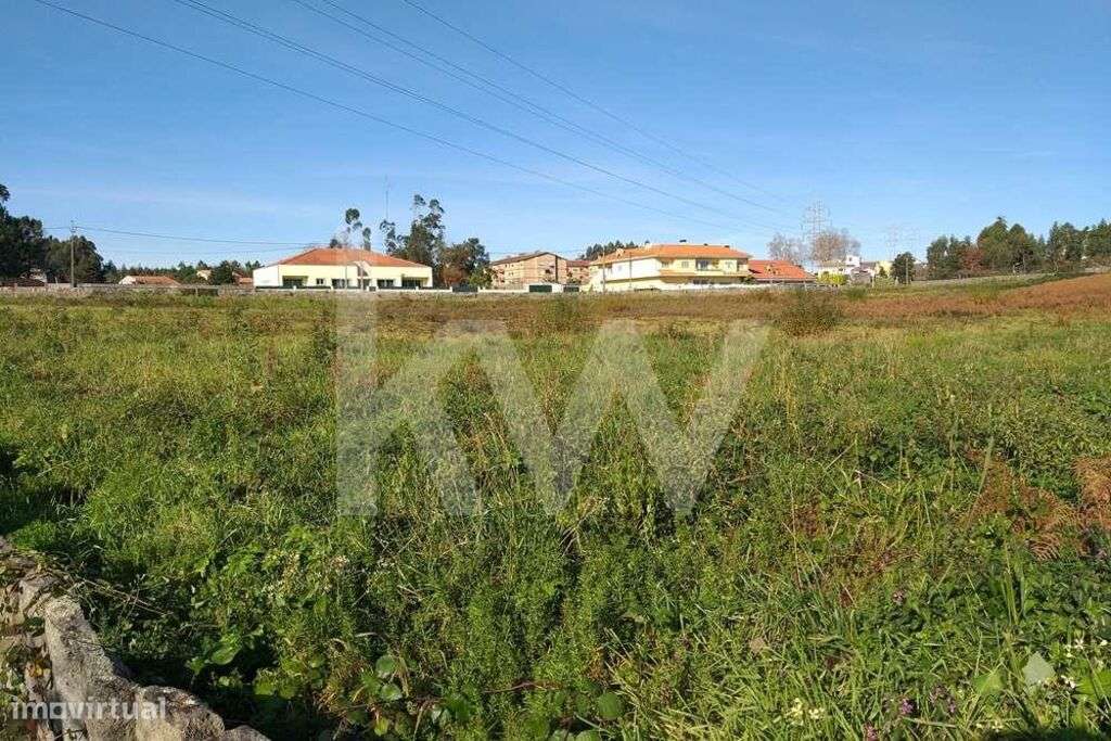 Terreno em pedroso para construção com casa velha . - Grande imagem: 5/23