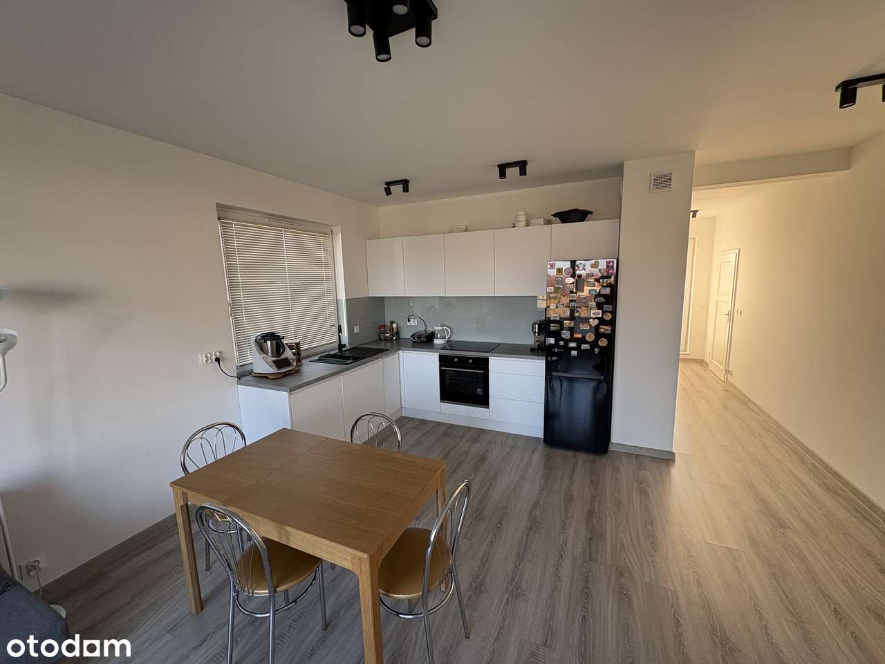 Apartament 3 pokojowy - po odnowieniu (nowa cena) - Pełny obrazek: 5/12
