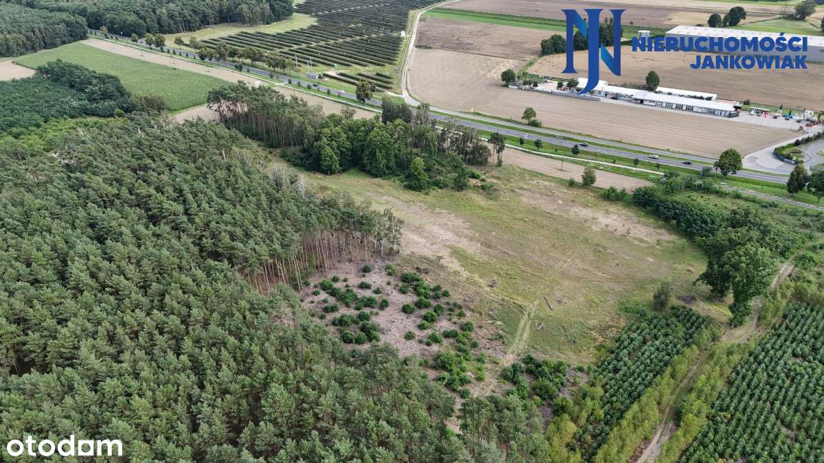 Działka usługowa przy Prime Park Wolsztyn/Karpicko - Pełny obrazek: 3/9