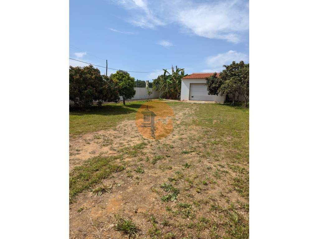 Moradia V3 com logradouro e terreno para arrendamento temporário a ... - Grande imagem: 4/19