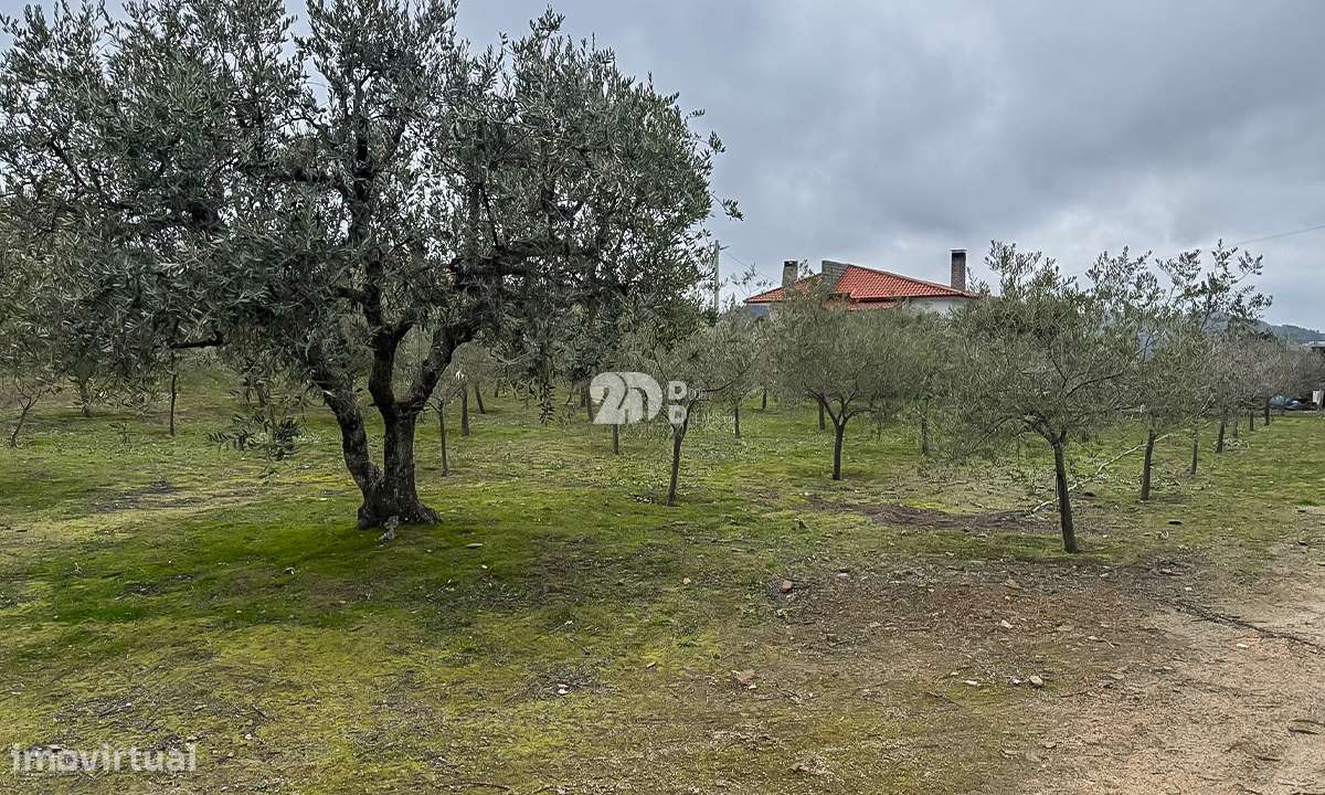 Terreno 5860m² - Pinheiros-11