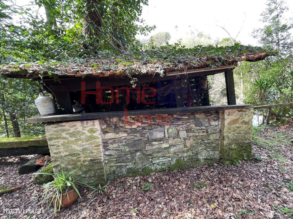 Quinta junto ao Rio Caima-21