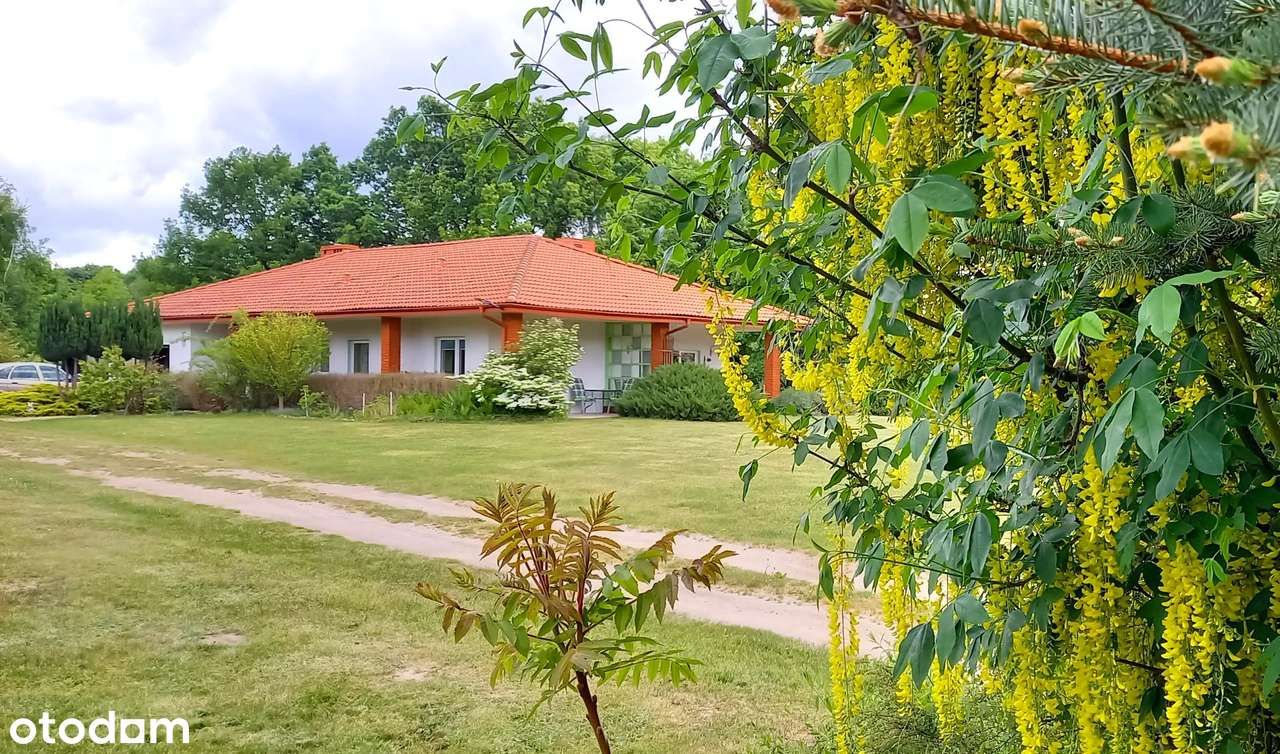 Piękna posiadłość Garbicz 3,8 ha, 5 budynków mieszk., basen, jezioro-7