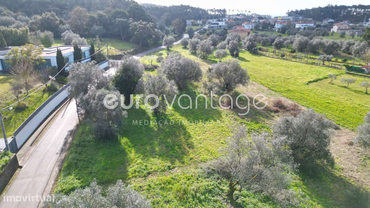 Terreno para construção - Ortigosa - Grande imagem: 5/6