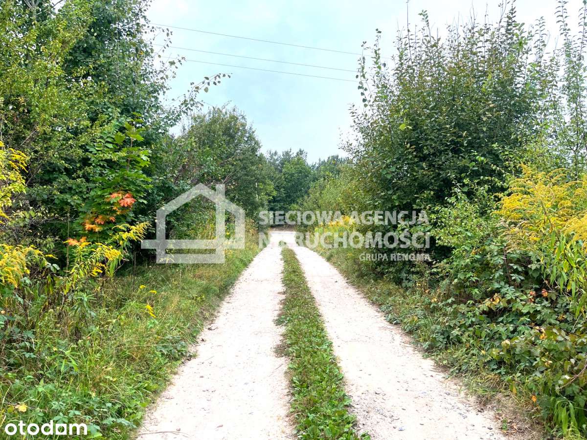 Niestępowo ul. Akacjowa działka na sprzedaż. - Pełny obrazek: 4/5