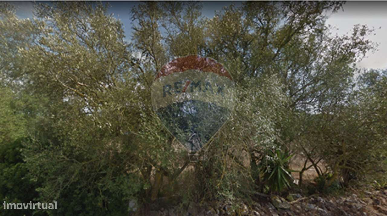 Terreno  para venda - Grande imagem: 5/13