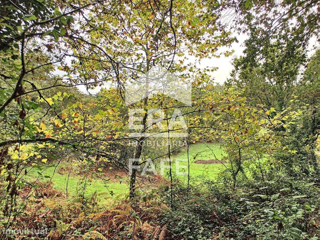 Terreno rústico com 17.000m2 em São Gens - Grande imagem: 4/4