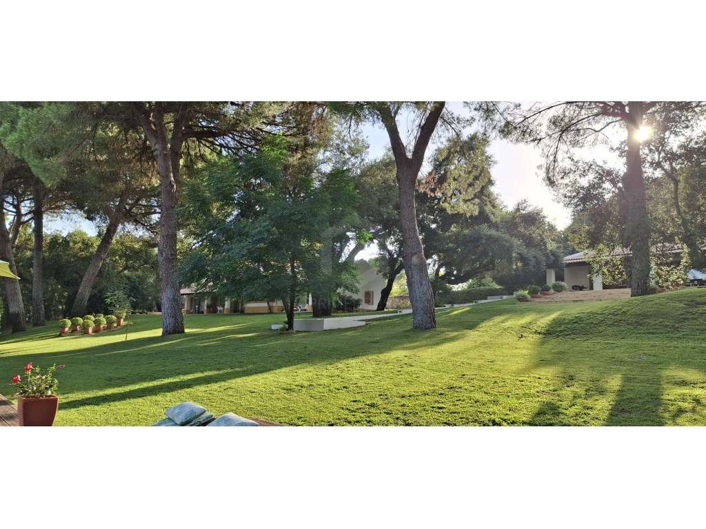Luxuosa propriedade entre Grândola e Comporta, com 24 hectares-23