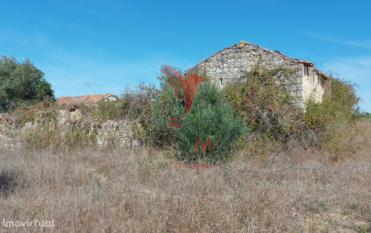 Palheiro em Ruína para recuperar, Terreno 4.723 m2, Santarém.