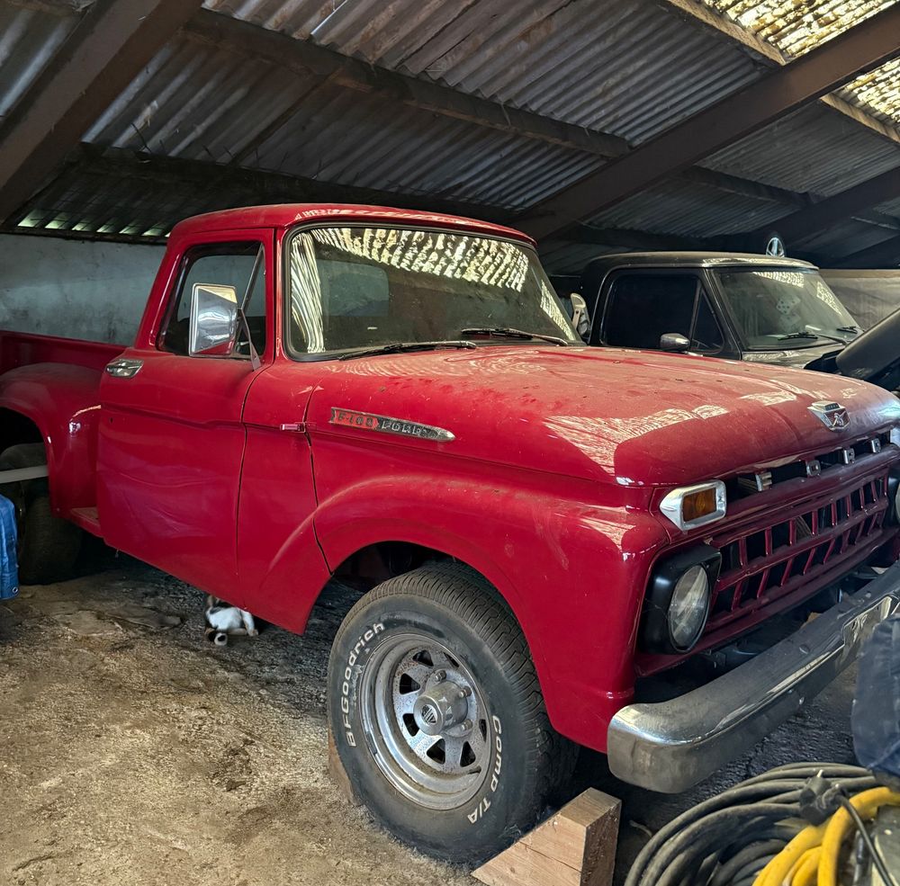 Ford F-150 1965