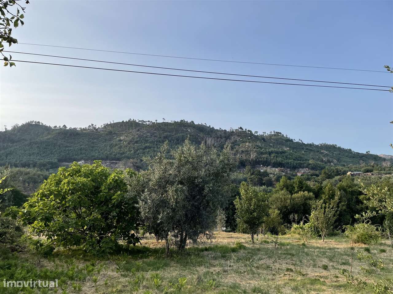 Moradia Isolada T3 Venda em Louriçal do Campo,Castelo Branco-22