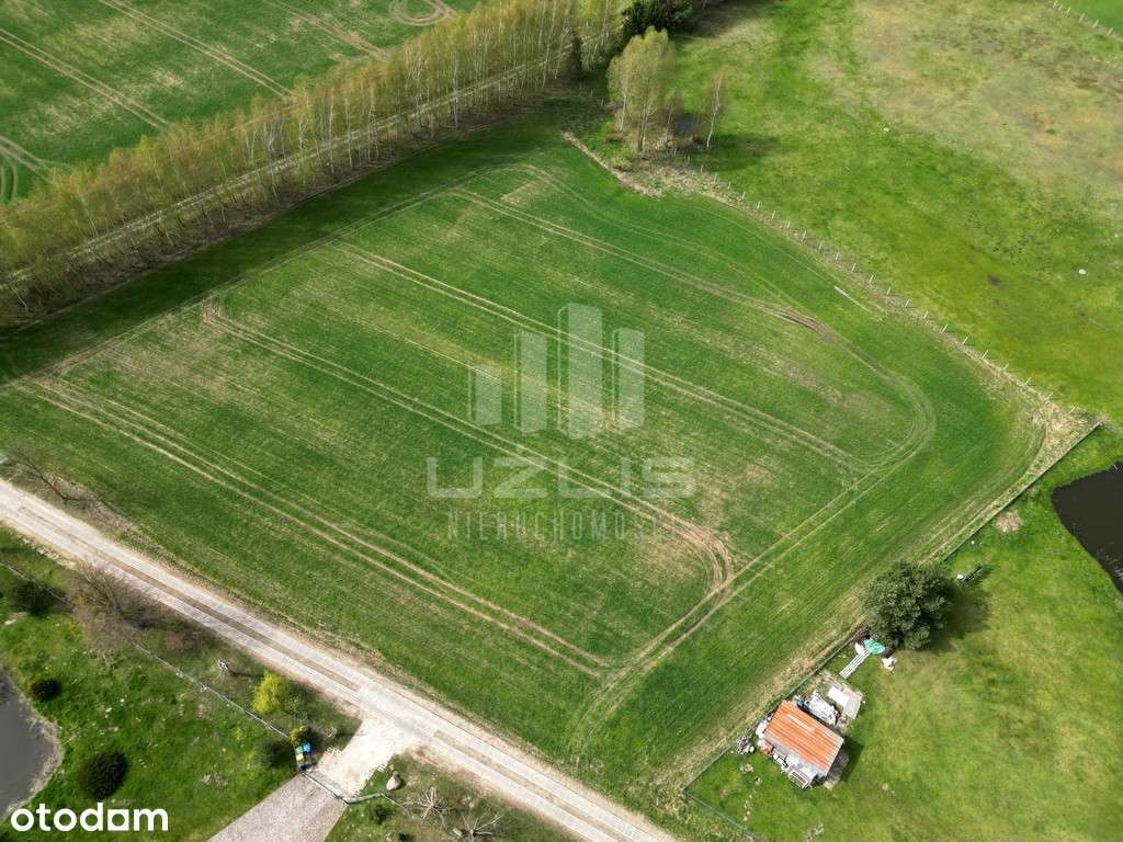 Działka 4315m2 Damaszka gm. Tczew - Pełny obrazek: 5/11