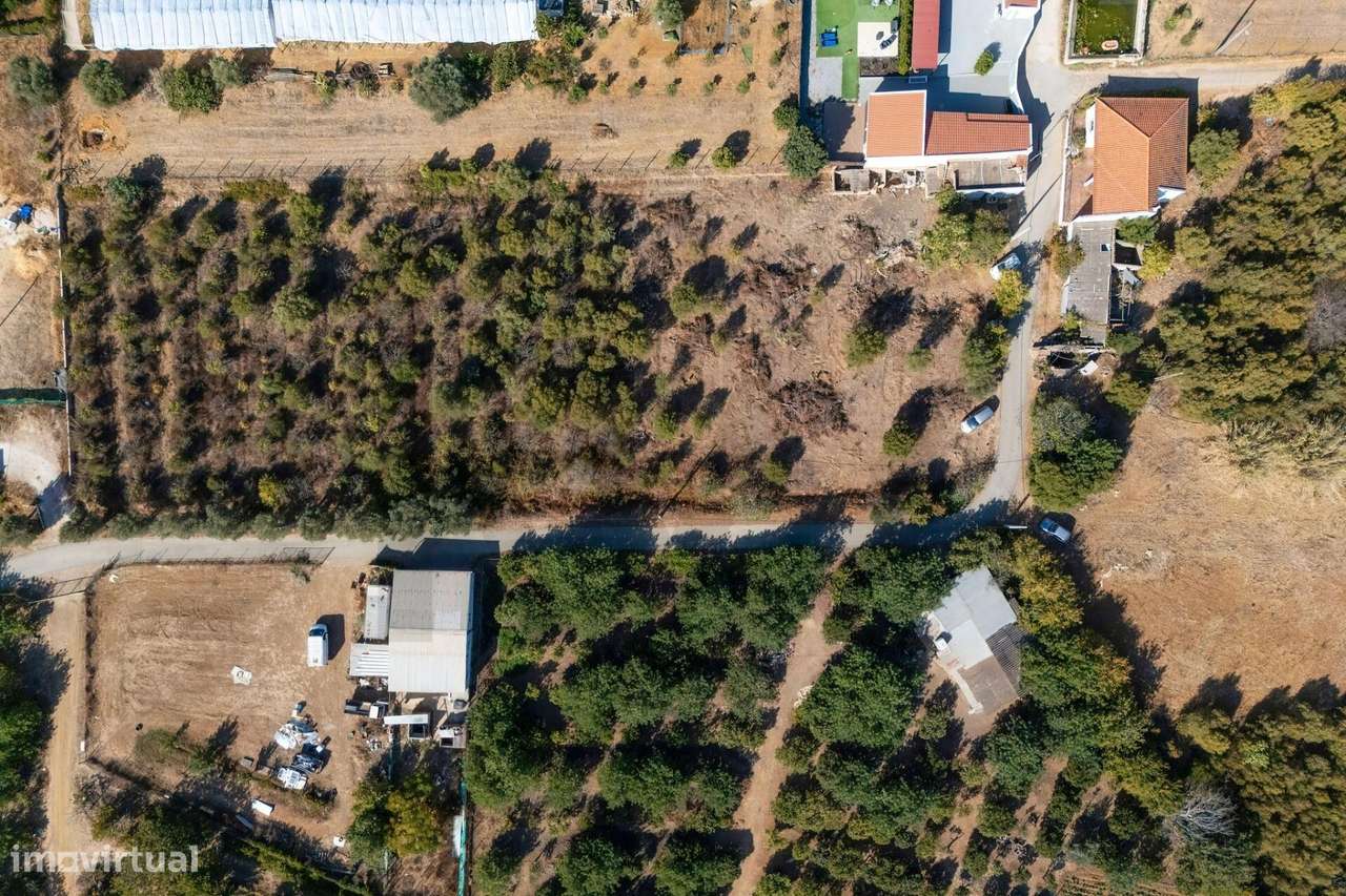 Moradia T4 com Terreno de 8480m2 em Bela Salema-43