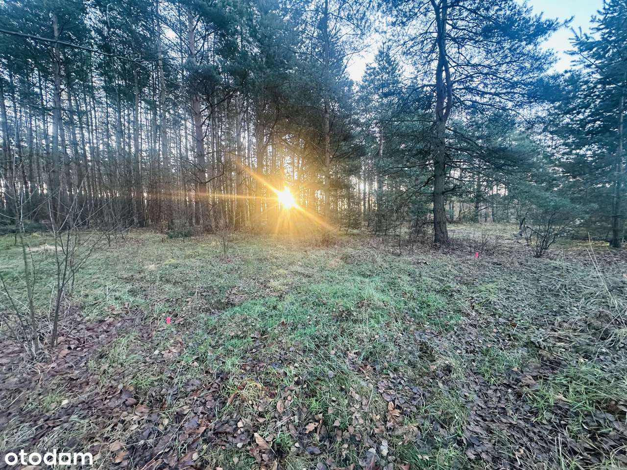 Trzy działki budowlane Biskupin inwestycja-3