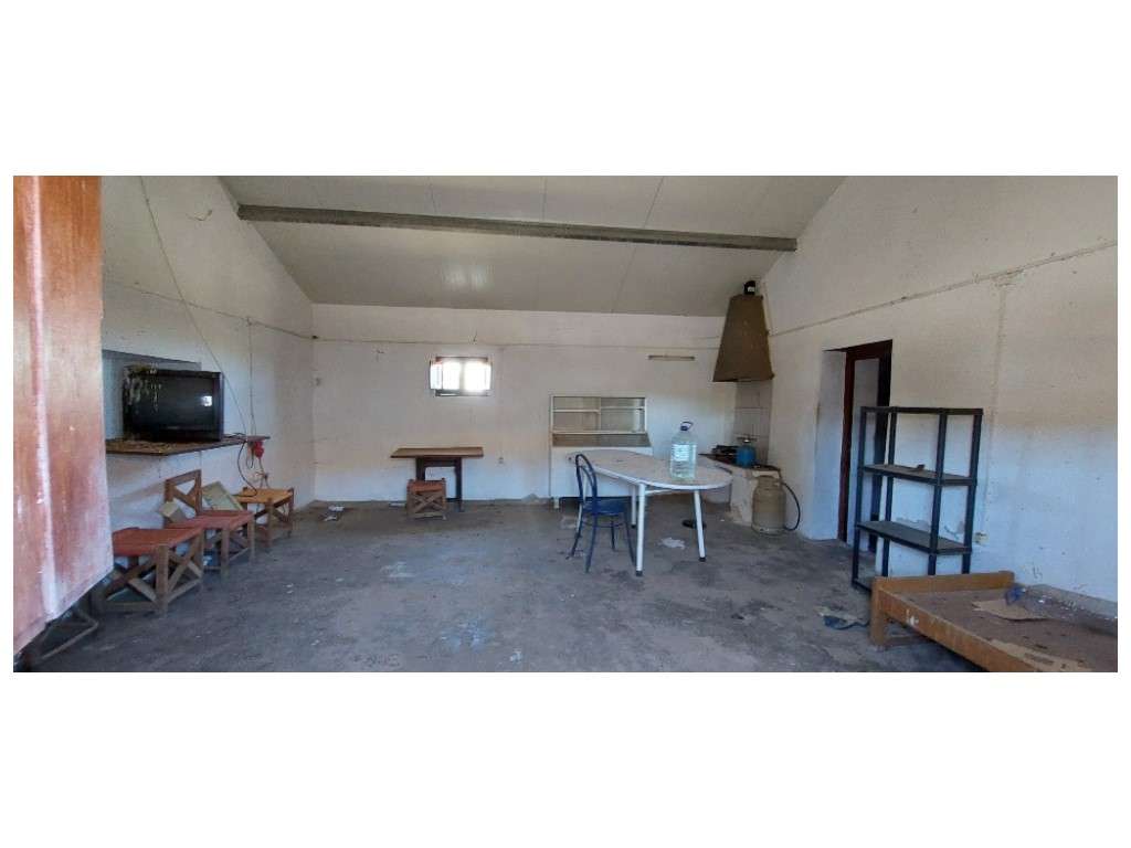 HERDADE 92 ha l Colos-27