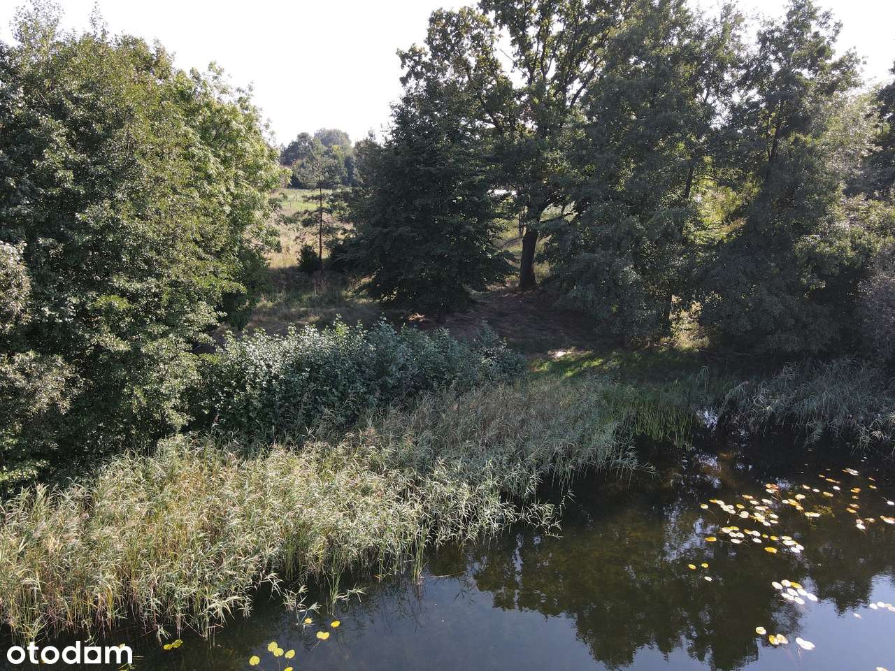 Działka z widokiem na jezioro  – Osada Żółte, dostęp do jeziora.-7