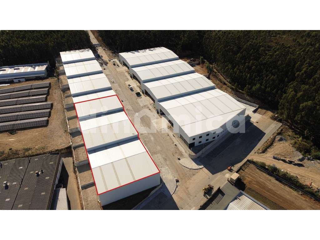 Pavilhão Industrial - Novo! - Grande imagem: 3/9