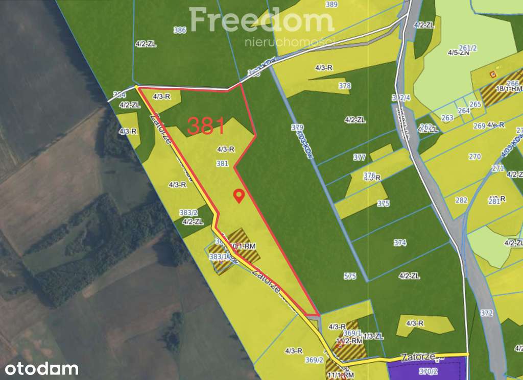 Działka siedliskowa z mpzp - dom, las, cisza - Pełny obrazek: 5/20