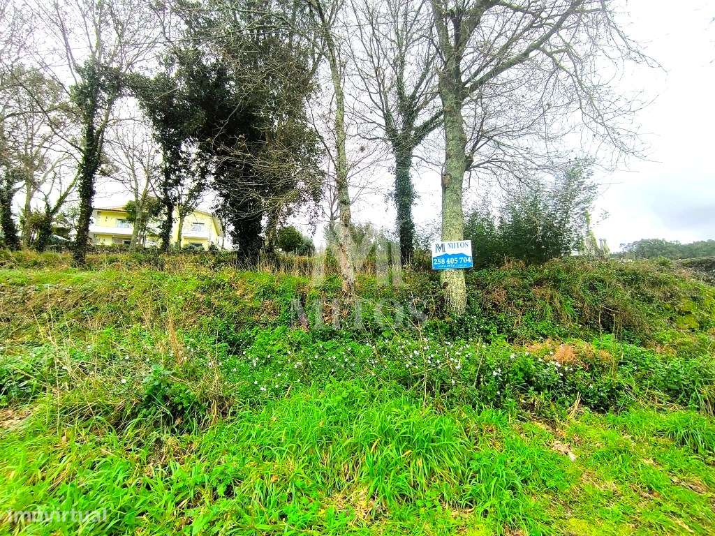 Terreno Urbano no centro de Tregosa - Grande imagem: 4/12