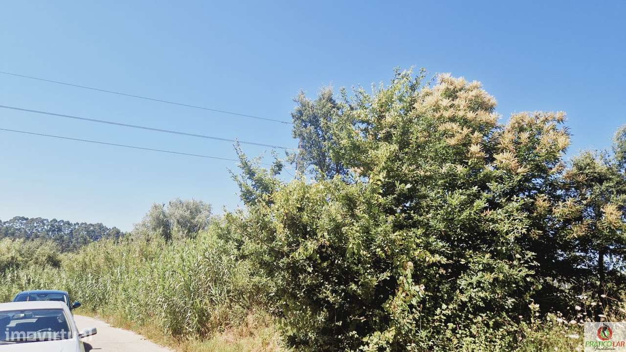 Terreno  inserido em Zona RAN - Grande imagem: 3/5