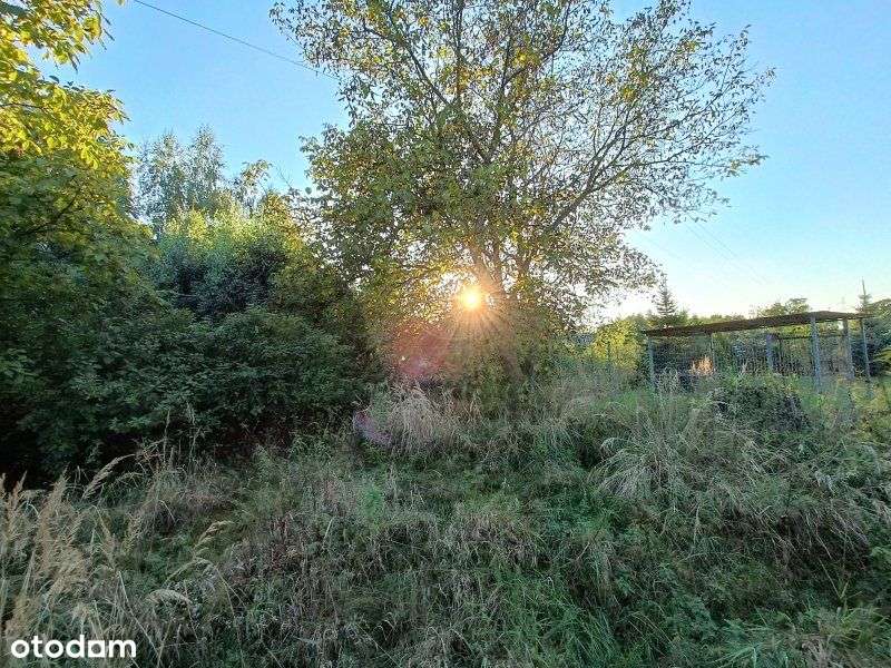 Duża działka budowlana z sadem owocowym - Pełny obrazek: 5/7