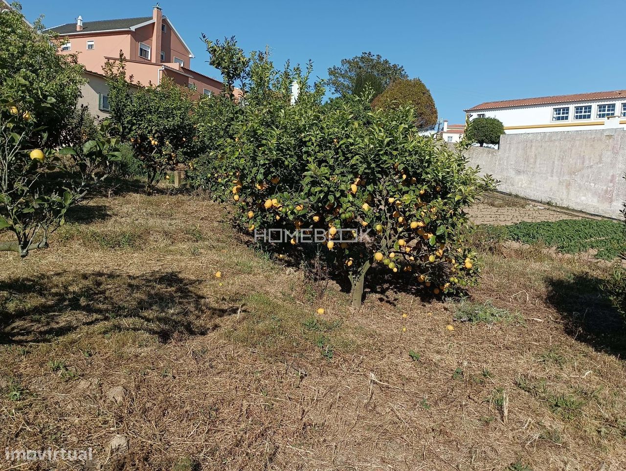 TERRENO URBANO  PERTO DA ERICEIRA