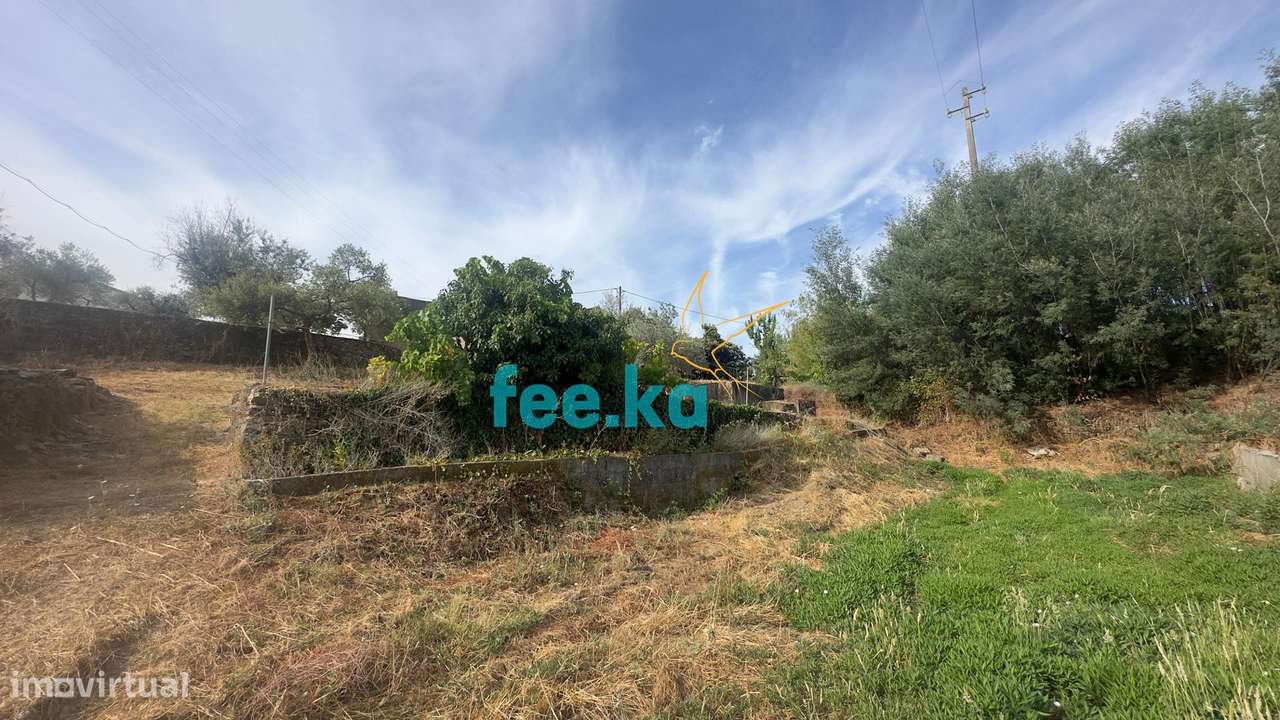 Quintinha-30