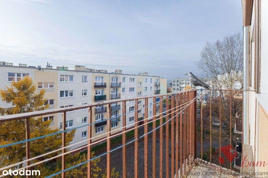 Mieszkanie w centrum osiedla ul. Jeżyka - 2 pokoje - Pełny obrazek: 4/9