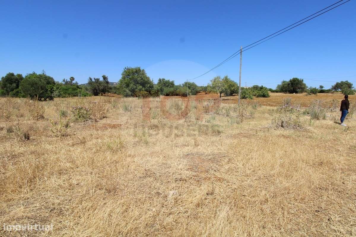 Terreno Rústico - Grande imagem: 3/28