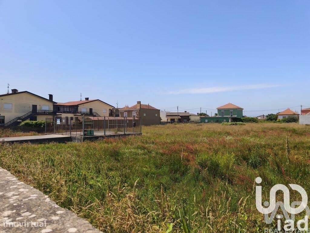 Terreno para construção em Murtosa - Grande imagem: 5/6