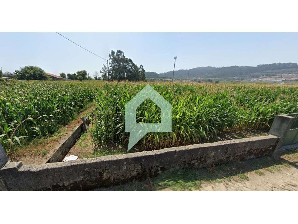 Terreno à Venda em Carvalhal, Barcelos - Ideal para Construção - Grande imagem: 4/9