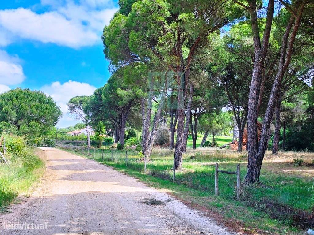 Lote de Terreno de 33.300m2, com lagoa, na Mata do Duque 1, Santo E...-21