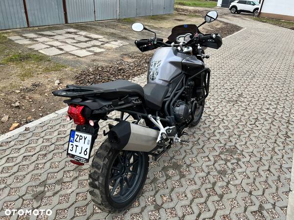 Triumph Tiger - 8