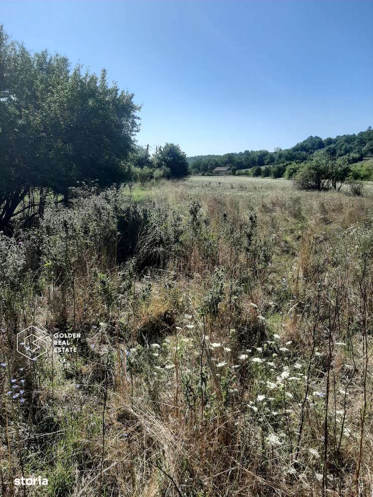 Terenuri 3699 mp, oras Lipova - Imagine principală: 3/3