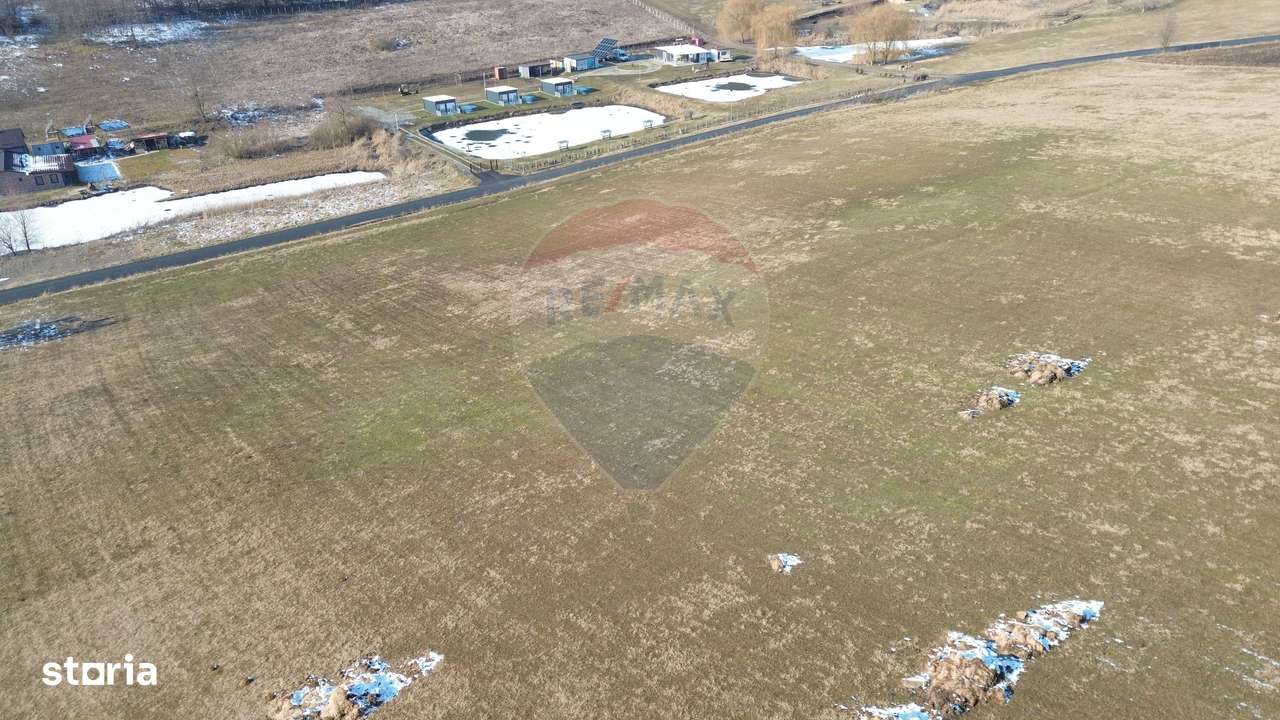 Teren pentru cabana 7.000mp in  Hoghilag, Tărâmul Tuberozelor - Imagine principală: 5/7