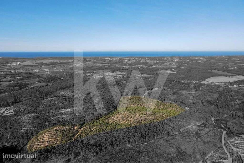 Terreno Rústico com 128 875 m2 em Aljezur - Grande imagem: 4/17