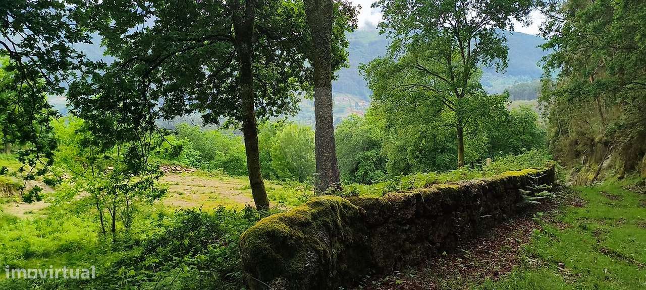Terreno  para venda-38