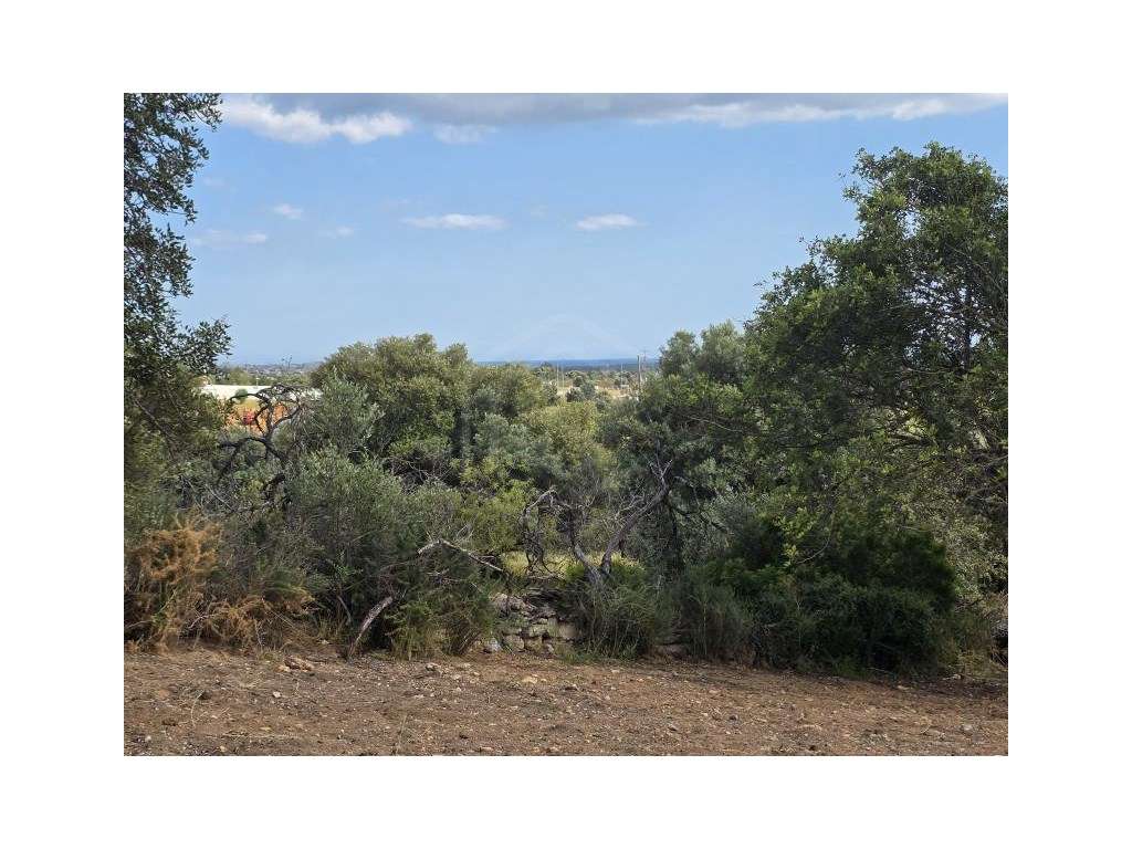 Terreno rústico com Vista Mar - Excelente oportunidade de investime... - Grande imagem: 2/28