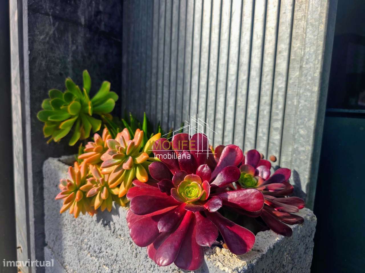 Negócio de restauração  - Restaurante " O Amor Vive na Cozinha" - B...-24