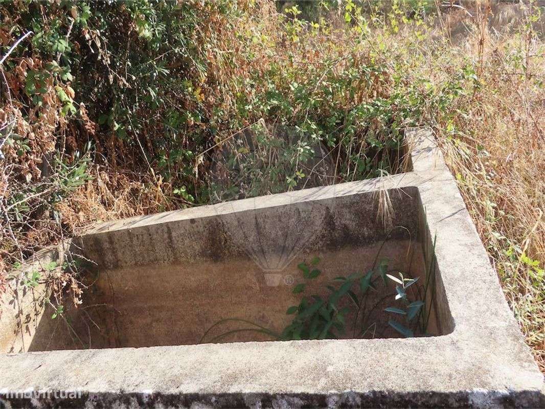 Quinta  para venda - Grande imagem: 5/28