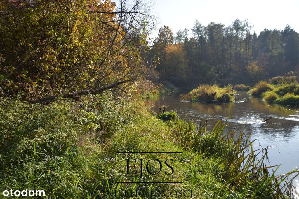 Działka z linią brzegową rzeki Świder w Otwocku - Pełny obrazek: 2/4