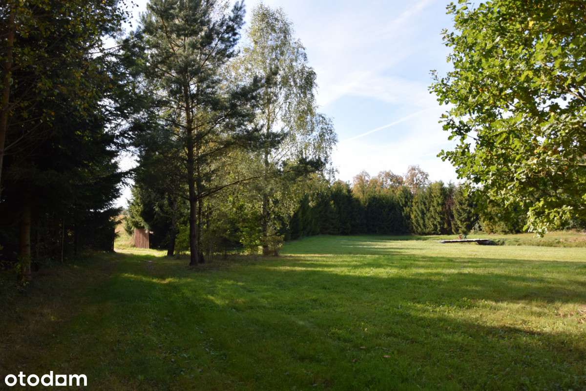 Dwa domy z potencjałem i dużą działką na Kaszubach-15