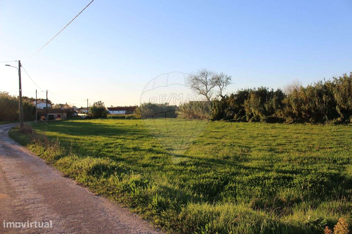 Terreno  para Venda - Grande imagem: 4/8