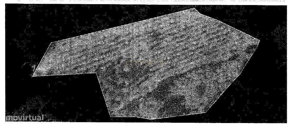 Terreno florestal com área total de 5.400m2 em Alheira - Barcelos - Grande imagem: 5/5