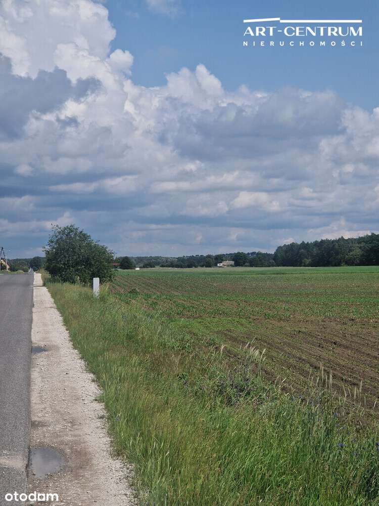 Działki rolno-budowlane ze ścianą lasu - Pełny obrazek: 4/10