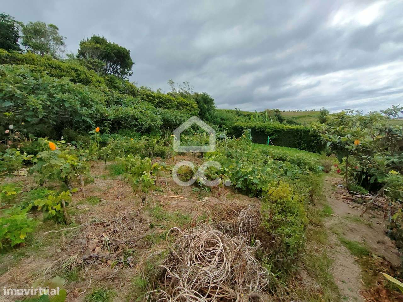 Terreno com 1.460,00 m2 - Ponta Garça - Vila Franca do Campo - Grande imagem: 4/16