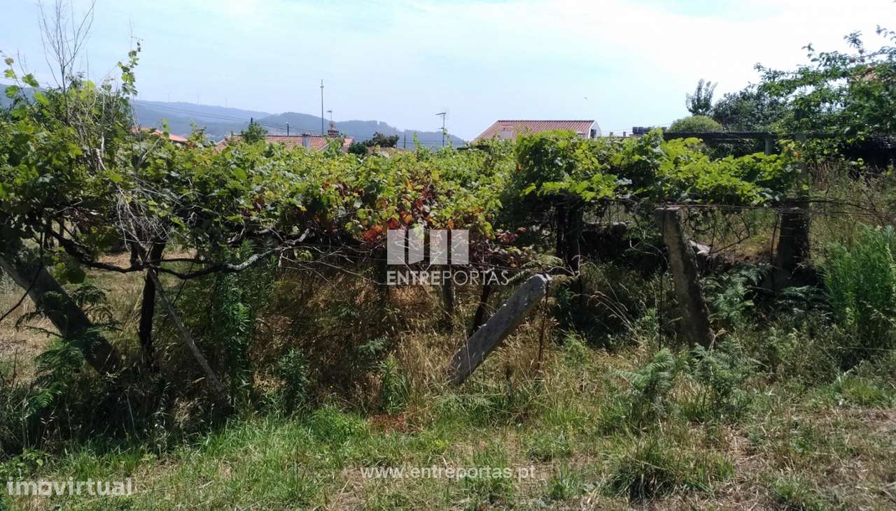 Terreno para construção para venda, Vila Praia de Âncora, Caminha - Grande imagem: 4/14