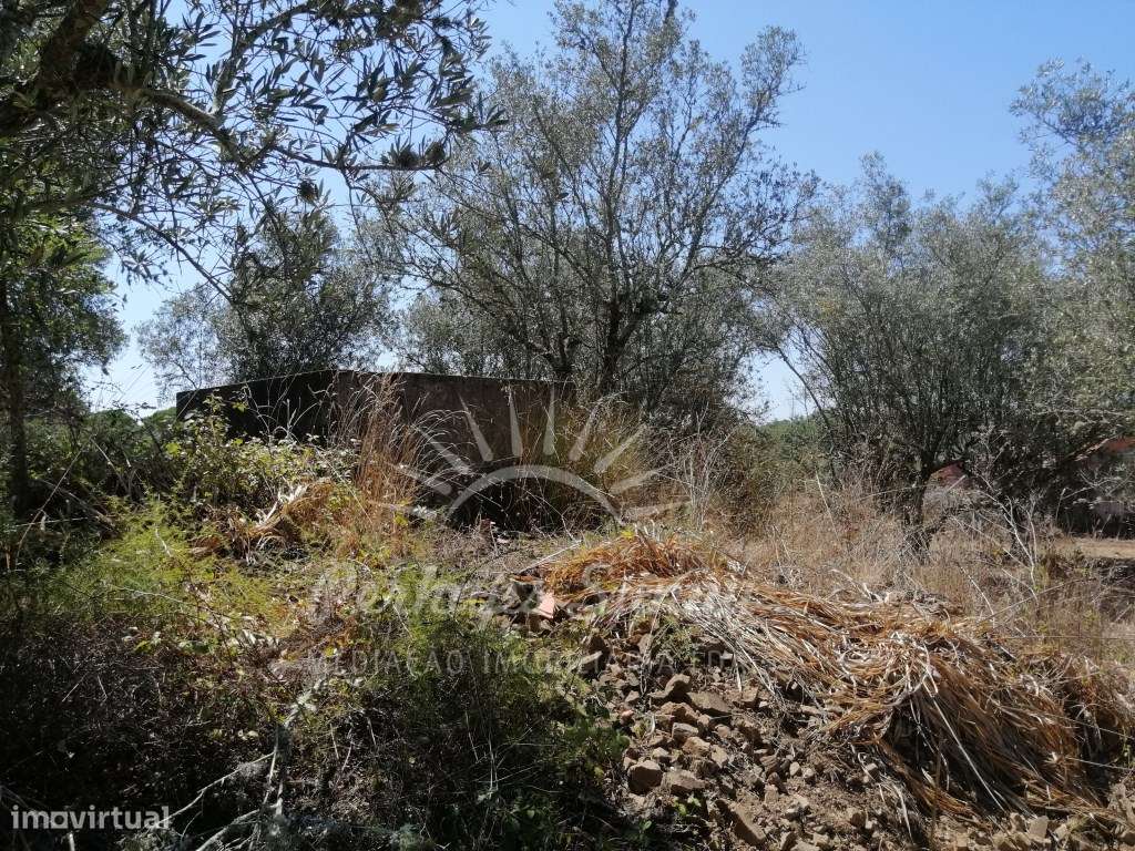 Quintinha - São Francisco da Serra-8